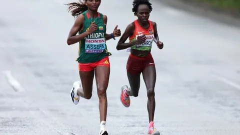 中超第8轮：浙江挑战河南嵩山龙门，钟义浩多拉多助阵1-0获胜